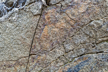 The abstract patterns in a cracked rock surface with spider webs
