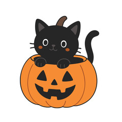 Black cat, pumpkin, Halloween, cartoon, cute illustration, isolated white background