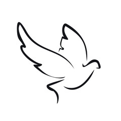 basic illustration of a dove