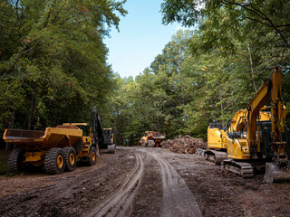Deforestation of an environmental forest area with construction equipment