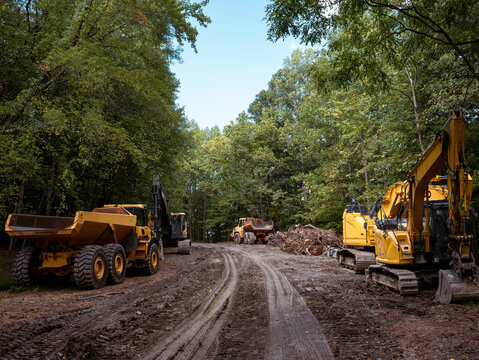 Deforestation of an environmental forest area with construction equipment