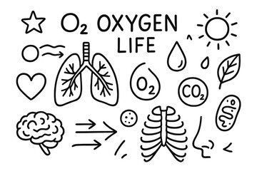 Breath of Life. Hand-drawn doodle illustration Oxygen and life lungs, oxygen molecule, CO2 bubble, heart, droplet, star, nose, brain, arrows of airflow,