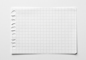 Notepad Page with Grid Lines, Journal Sticker Concept. A blank sheet of checkered paper