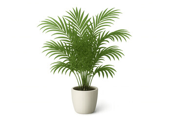 Potted green areca palm houseplant with a transparent background for interior design and decor