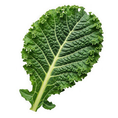Green kale leaf isolated on transparent background