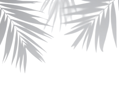 Abstract grayscale palm fronds, overlapping, intricate - Powered by Adobe