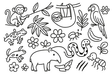 Rainforest Animal Doodles. Hand-drawn doodle illustration Rainforest animals monkey, sloth, macaw, poison dart frog, tapir, boa, gecko, ant, beetle, palm leaf,