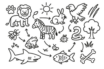 Obraz premium Cartoon Food Chain Doodles. Hand-drawn doodle illustration food chain predators and prey lion, zebra, eagle, rabbit, snake, frog, insect, fish, shark, paw