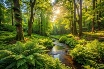 Naklejka premium Serene forest stream bathed in golden sunlight, lush green ferns lining the tranquil waterway, sunbeams illuminating the canopy above, creating a magical atmosphere of peace and tranquility.