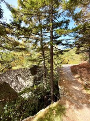 Breathtaking, challenging walk hike. Catskills North South Lake campgrounds escarpment blue trail to Kaaterskill falls. Stunning vista mountain peak view. Artist's rock, boulder, inspiration point