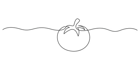 Obraz premium Tomato continuous one line drawing. Minimalist single line drawing of a fresh tomato vector illustration