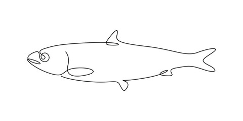 Fototapeta premium Fish single continuous line drawing, Salmon fish in one continuous line illustration. Fish icon. Graphic illustration