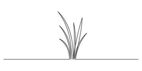Abstract meadow one line with grass. Continuous single line drawing. Reed one continuous line illustration. Hand drawn doodle vector illustration © aminul788