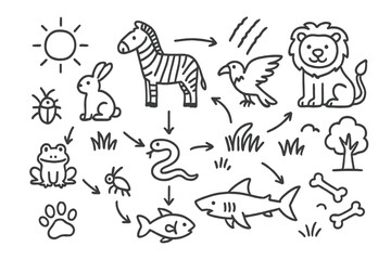 Obraz premium Cartoon Food Chain Doodles. Hand-drawn doodle illustration food chain predators and prey lion, zebra, eagle, rabbit, snake, frog, insect, fish, shark, paw