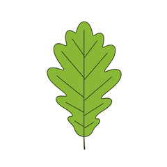 A simple illustration of a single green oak leaf with a lobed shape and distinct veins, isolated on a white background.