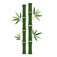 Obraz premium Two stalks of green bamboo with leaves, depicted in a simple, stylized vector illustration against a white background.