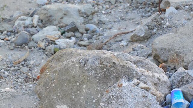 Water Pipit (Anthus spinoletta) on rock 120fps Slow Motion 4K Footage. Small water pipit bird perched on stone in natural mountain habitat, closeup of water pipit wildlife behavior in outdoor rocky 