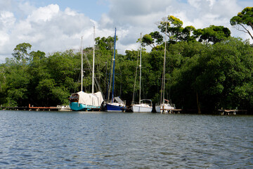 Anchored sailboats on calm river with blue sky.