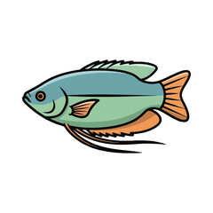gourami fish illustration design
