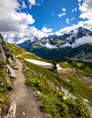 Obraz premium Hiking trail through alpine meadow
