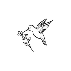 Obraz premium Hummingbird line art drawing vector illustration minimalist design bird tattoo flower nature wildlife graphic art
