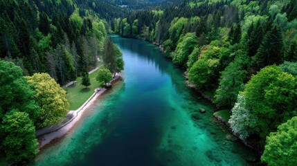 Aerial View of Turquoise River Winding Through Lush Green Forest in Daylight