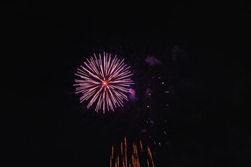 Fototapeta premium 東海まつり花火大会 花火 Tokai Festival firework