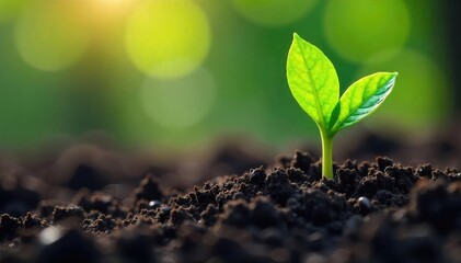 Vibrant green shoots emerge from dark, rich soil, symbolizing rebirth and renewal after a long winter A powerful image representing hope, growth, and the cycle of life , background, organic