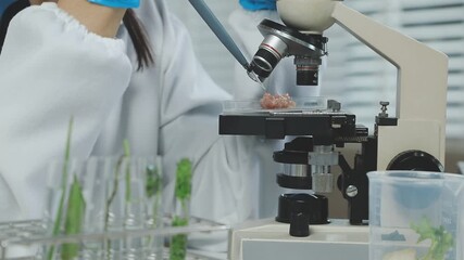 Two Asian women in a lab work on food research, using a microscope, petri dish, and test tubes filled with chemical solutions. They study vegetables, pork, and plants for GMO traits and nutrition. - Powered by Adobe