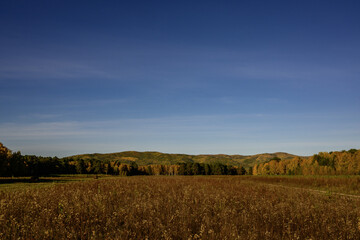 Autumn Landscape with fields, forests and meadows under a blue sky