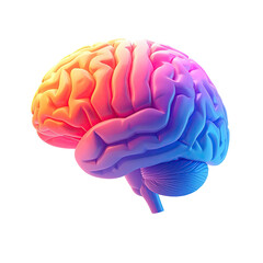 Colorful 3D human brain, side view, gradient hues