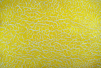 close up on texture of melon peel