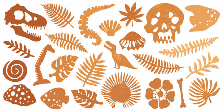 Collection of prehistoric dinosaur fossils and ancient plant elements in warm orange tones