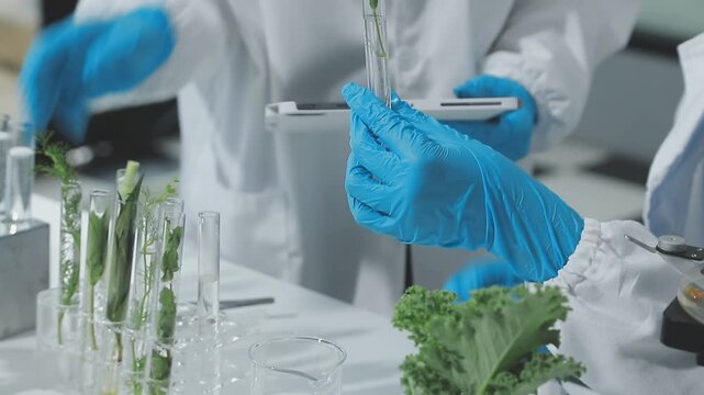Scientist used biotechnology, ai technology, and dna plant in tube of scientific lab for medical research and Plant genetics development in Food industry. science chemistry in laboratory - Powered by Adobe