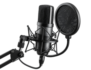 High-End Professional Studio Microphone with Pop Filter on Stand