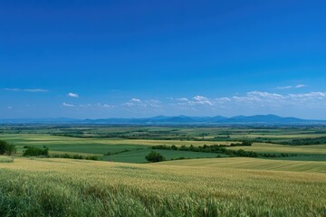 Obraz premium Panoramic view of a vast agricultural landscape under a vibrant blue sky