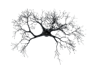 Intricate, dark gray, branching structure, speckled with tiny lights