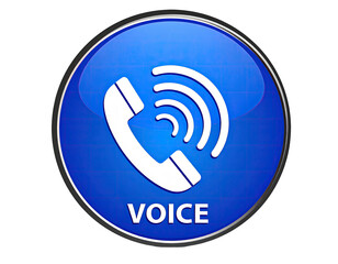 Blue round button with a white phone icon and "VOICE" text (5)