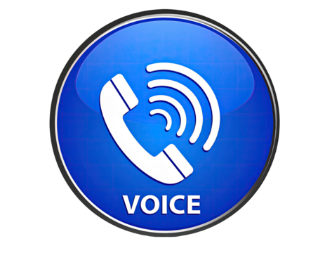 Blue round button with a white phone icon and "VOICE" text (5)