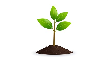 A small plant sprouts from the earth