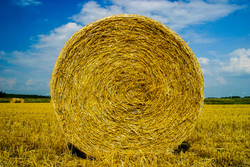 big round bales in farm field