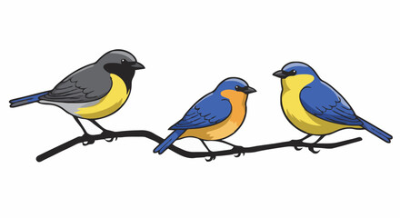 Vector illustration Birds