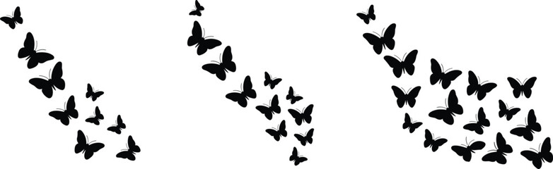 Butterfly silhouette icons, flying insect design set, black and white illustration, growth and transformation concept, nature vector, decorative motion graphic, evolution symbol