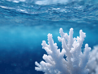 Coral bleaching shows impact of climate change with ai technology helping monitor ocean health underwater