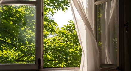 Sunlight streams through a window draped with sheer curtains, illuminating a verdant outdoor scene.