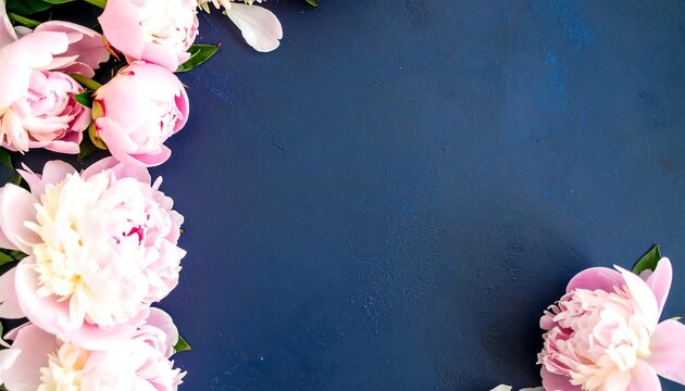 Pink peonies border dark blue background