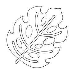 Monstera