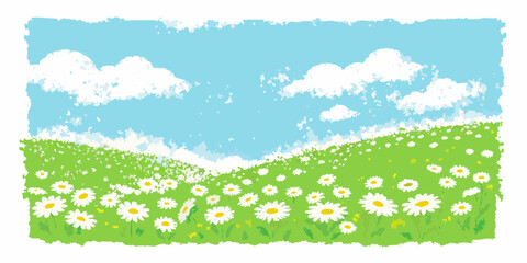 Vibrant green meadow blanketed with white daisies under a bright blue sky with fluffy clouds