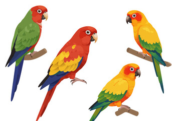 Four colorful parrots are illustrated two perched on branches one is flying