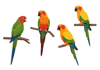 Four colorful parrots perch on branches displaying vibrant plumage